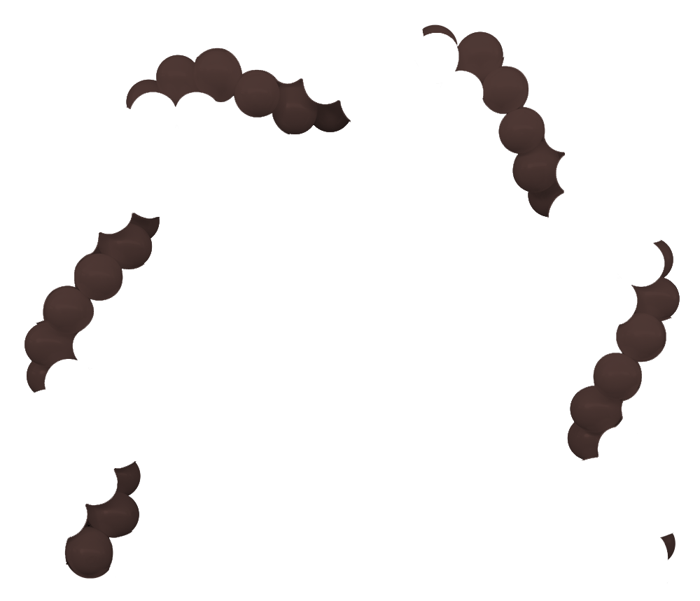 chocolate_brown-rotate_color_2