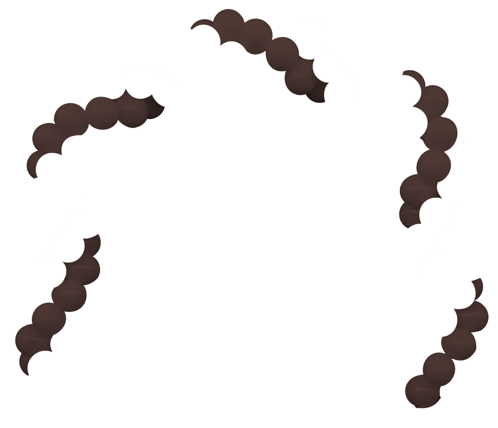 chocolate_brown-rotate_color_4