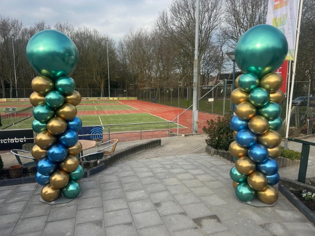 Ballonnenpilaren in Chrome glans